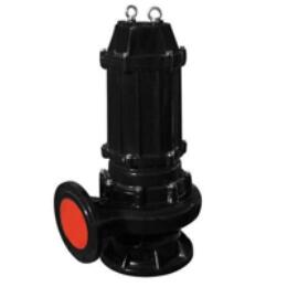 远大提供专业污水泵 欢迎各位买家前来订购